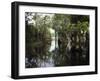 Amazon River, Brazil-null-Framed Photographic Print