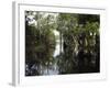 Amazon River, Brazil-null-Framed Photographic Print