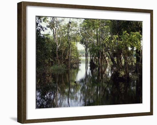 Amazon River, Brazil-null-Framed Photographic Print