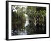 Amazon River, Brazil-null-Framed Photographic Print