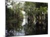 Amazon River, Brazil-null-Mounted Photographic Print