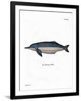 Amazon River Dolphin-null-Framed Giclee Print