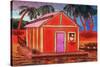 Amazon River Houseboat-John Newcomb-Stretched Canvas