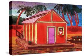 Amazon River Houseboat-John Newcomb-Stretched Canvas