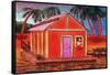 Amazon River Houseboat-John Newcomb-Framed Stretched Canvas