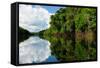 Amazon River Landscape in Brazil-rchphoto-Framed Stretched Canvas