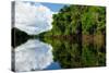 Amazon River Landscape in Brazil-rchphoto-Stretched Canvas