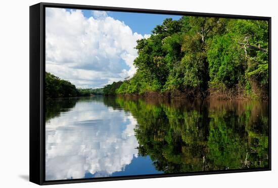 Amazon River Landscape in Brazil-rchphoto-Framed Stretched Canvas