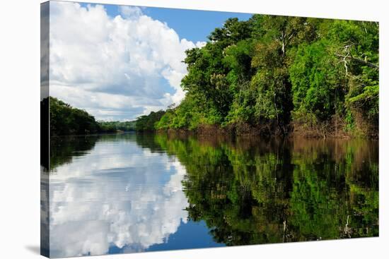 Amazon River Landscape in Brazil-rchphoto-Stretched Canvas