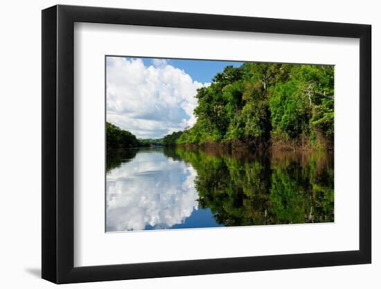 Amazon River Landscape in Brazil-rchphoto-Framed Photographic Print