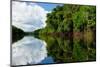 Amazon River Landscape in Brazil-rchphoto-Mounted Photographic Print