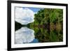 Amazon River Landscape in Brazil-rchphoto-Framed Photographic Print