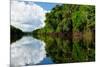 Amazon River Landscape in Brazil-rchphoto-Mounted Photographic Print