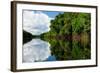 Amazon River Landscape in Brazil-rchphoto-Framed Photographic Print