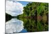 Amazon River Landscape in Brazil-rchphoto-Mounted Photographic Print