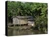 Amazon Rivers Furo de Breves Para, Brazil-null-Stretched Canvas