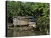 Amazon Rivers Furo de Breves Para, Brazil-null-Stretched Canvas