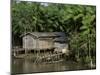 Amazon Rivers Furo de Breves Para, Brazil-null-Mounted Premium Photographic Print