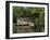 Amazon Rivers Furo de Breves Para, Brazil-null-Framed Photographic Print