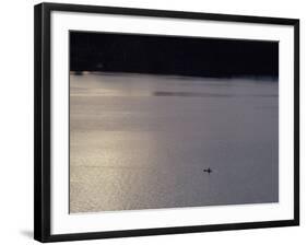 Amazon Road-John Dominis-Framed Photographic Print