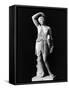 Amazon Statue in Vatican Museum-null-Framed Stretched Canvas