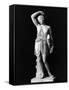 Amazon Statue in Vatican Museum-null-Framed Stretched Canvas