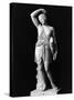 Amazon Statue in Vatican Museum-null-Stretched Canvas