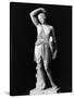 Amazon Statue in Vatican Museum-null-Stretched Canvas