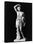 Amazon Statue in Vatican Museum-null-Framed Stretched Canvas