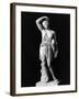 Amazon Statue in Vatican Museum-null-Framed Photographic Print