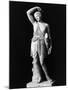 Amazon Statue in Vatican Museum-null-Mounted Photographic Print