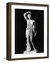 Amazon Statue in Vatican Museum-null-Framed Photographic Print