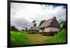 Amazon Village, Iquitos, Peru, South America-Laura Grier-Framed Photographic Print