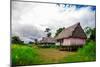 Amazon Village, Iquitos, Peru, South America-Laura Grier-Mounted Photographic Print