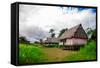 Amazon Village, Iquitos, Peru, South America-Laura Grier-Framed Stretched Canvas
