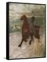 Amazone and Dog, 1899-Frederic Edwin Church-Framed Stretched Canvas