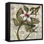 Amazonia IV-null-Framed Stretched Canvas