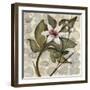 Amazonia IV-null-Framed Art Print