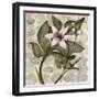 Amazonia IV-null-Framed Art Print