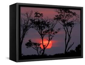 Amazonia Sunset-Art Wolfe-Framed Stretched Canvas