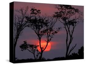 Amazonia Sunset-Art Wolfe-Stretched Canvas