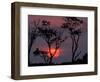 Amazonia Sunset-Art Wolfe-Framed Photographic Print