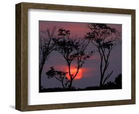 Amazonia Sunset-Art Wolfe-Framed Photographic Print