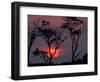 Amazonia Sunset-Art Wolfe-Framed Photographic Print