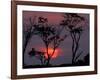 Amazonia Sunset-Art Wolfe-Framed Photographic Print