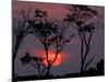 Amazonia Sunset-Art Wolfe-Mounted Photographic Print