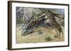 Amazonian Giant Centipede (Scolopendra Gigantea), Scolopendridae-null-Framed Giclee Print