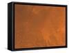 Amazonis Region of Mars-Stocktrek Images-Framed Stretched Canvas