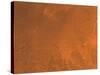 Amazonis Region of Mars-Stocktrek Images-Stretched Canvas