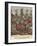 Amazons, Warriors and Witch Doctors of Dahomey-null-Framed Giclee Print